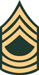 MSG.jpg (2798 bytes)