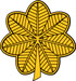 Major.jpg (4875 bytes)