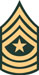 SGM.jpg (2890 bytes)