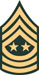 SMA.jpg (2907 bytes)